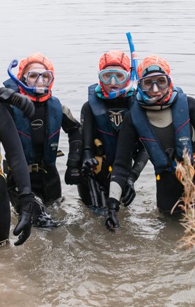 A group of snorkelers.