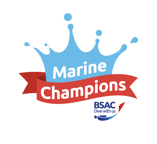 BSAC Marine Champions logo